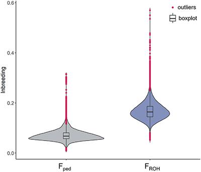 Genetic Diversity in the Italian Holstein Dairy Cattle Based on Pedigree and SNP Data Prior and After Genomic Selection